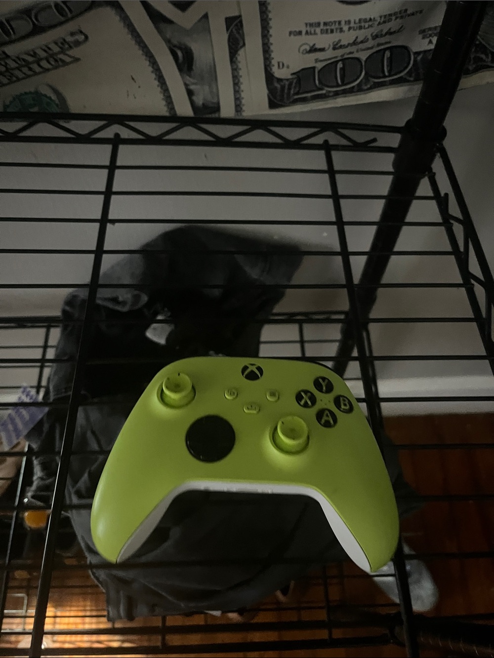 Wireless Controller in Electric Green